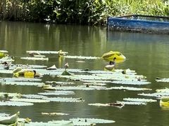 -白塘生态植物园