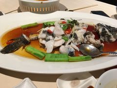 鲜花椒蒸笋壳鱼-侨美食家·粤菜(体育西路店)