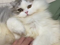 -萌兽医馆·眼科·异宠专科(三里屯店)