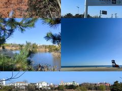 -日照海滨国家森林公园