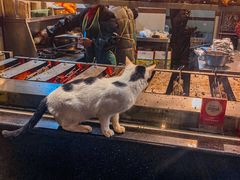 -老黄记手撕烤兔(玉林街店)