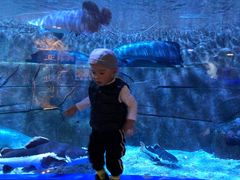 -成都浩海立方海洋公园