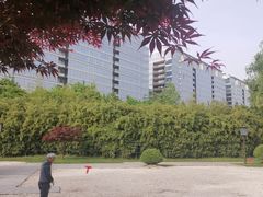 -唐城墙遗址公园