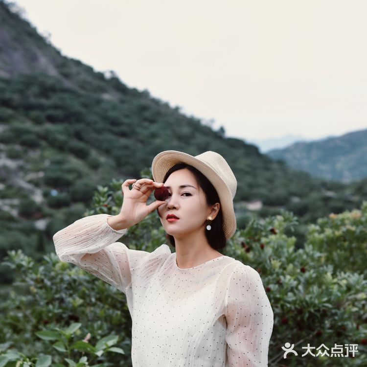 江浙沪周边游 | 又到杨梅季仙居杨梅熟了