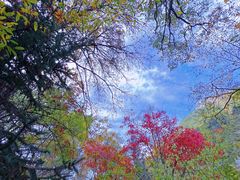 -叠溪松坪沟景区