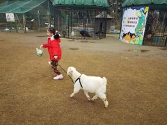 -前小桔亲子创意农场·草莓采摘·露营烧烤