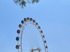 -上海野生动物园