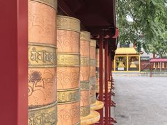 -护国法轮寺