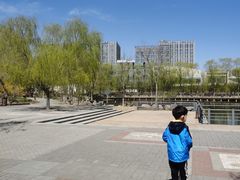 -大兴滨河森林公园