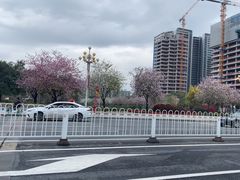 -花都广场