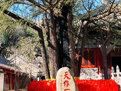-红螺寺