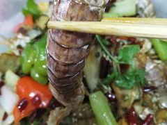 -马头巷·食景园(苏州总店)