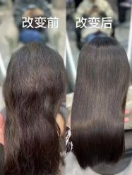 -YESIDO椰岛造型