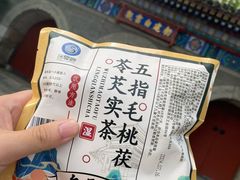 -白云观