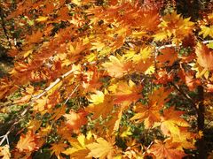 -本溪老边沟风景区