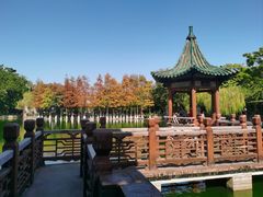 -东莞市可园博物馆