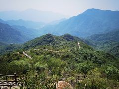 -大岭沟猕猴桃谷风景区