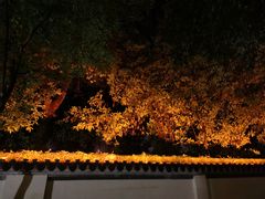 -东航云逸酒店(九溪烟树店)