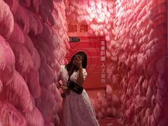 -杭州西湖星空魔幻城(星空艺术馆品牌旗舰店)