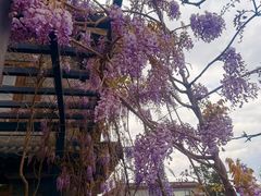 -松赞丽江山居餐厅
