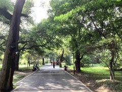 -北陵公园