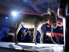 -北京三里屯CHAO酒店