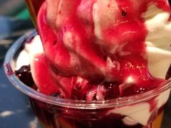 -Salud撒露欧洲冻酸奶(五道口购物中心店)