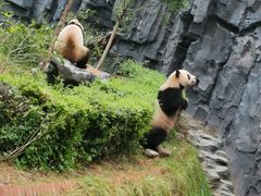 -五龙山野生动物王国