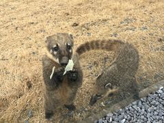 -茅山东方盐湖城景区