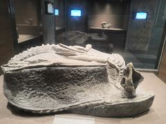 -自贡恐龙博物馆