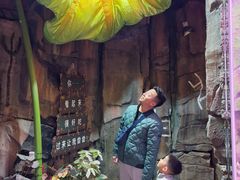 -正佳雨林生态植物园