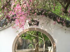 -深圳国际园林花卉博览园