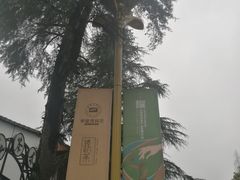 -羊楼洞
