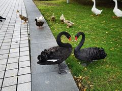 -东华大学(松江校区)