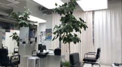 -Hair  Gallery