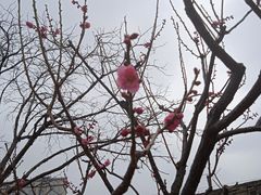 -北京明城墙遗址公园