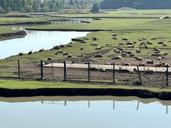 -溱湖国家湿地公园