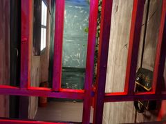 -移动谜城·大笨象密室逃脱(五棵松店)