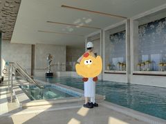 -成都华尔道夫酒店游泳池