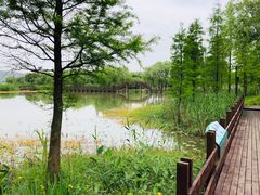 -长兴太湖图影湿地文化园