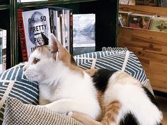 -麦田书店(国防路店)