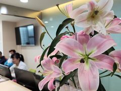 -蒙恩齿科(福田金中環店)