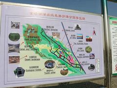 -金塔沙漠胡杨林景区