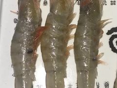 -很久以前羊肉串(打浦路店)
