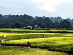 -万峰林风景区
