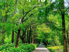 -上海滨江森林公园