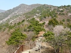 -北京十三陵国家森林公园蟒山景区