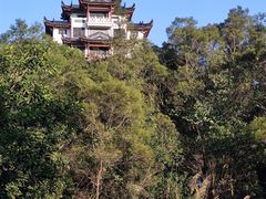 -广东花都湖国家湿地公园