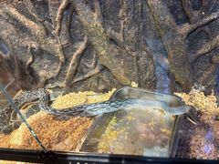 -砂之船奥特莱斯(合肥店)