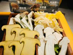 -潮发潮汕牛肉店(东方宝泰店)